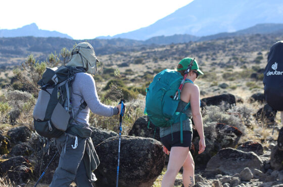 When is the best time to climb Kilimanjaro?