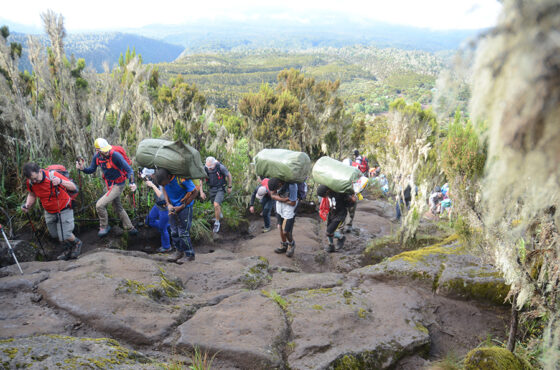 Kilimanjaro Guideline on Tipping Porters and Guides