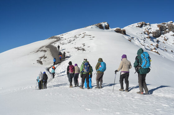 How Much Does Kilimanjaro Park Fees Cost?