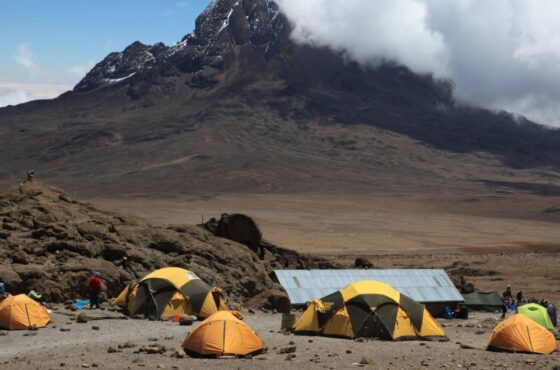 Kilimanjaro Hiking Rongai Route 6 Days