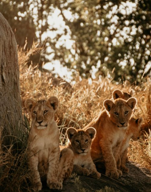 Lake Manyara
