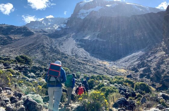 Kilimanjaro Hiking Lemosho Route 7 Days