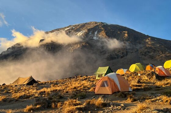 Kilimanjaro Hiking Lemosho Route 8 Days