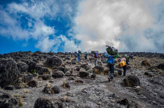 Kilimanjaro Hiking Machame Route 7 Days