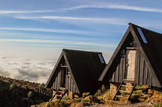Kilimanjaro Hiking Marangu Route 5 Days