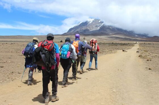 Kilimanjaro Hiking Marangu Route 6 Days