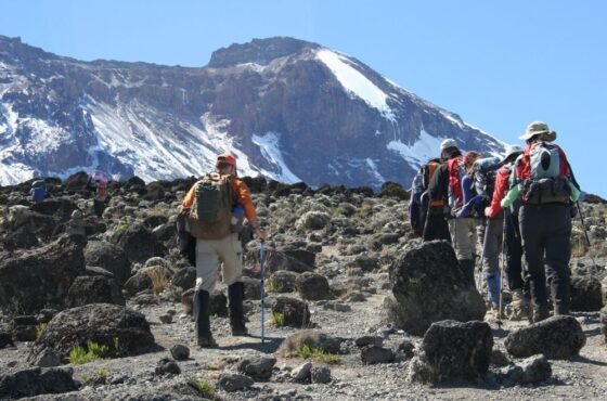 Kilimanjaro Hiking Shira Route 6 Days
