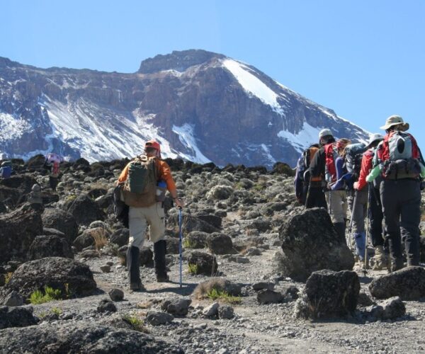 Kilimanjaro Hiking Shira Route 6 Days