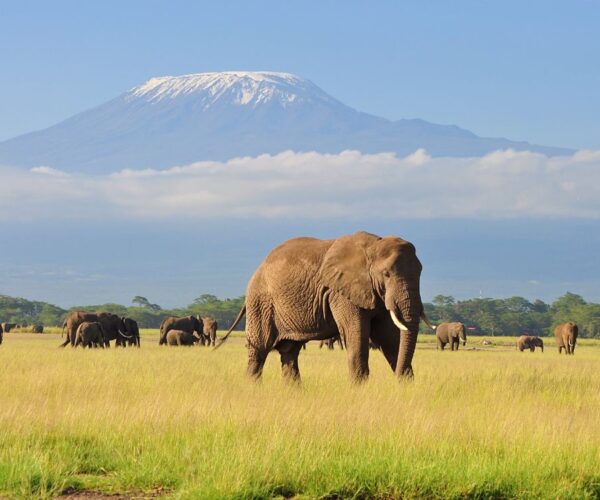 5 Days Ngorongoro Safari