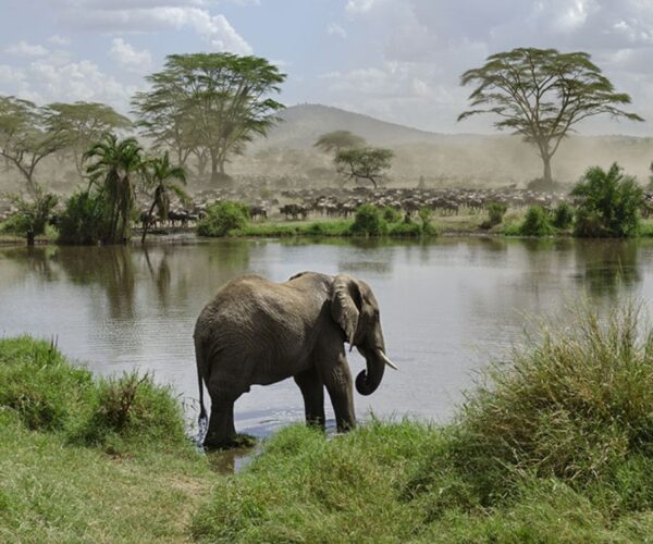 6 Days Dream of Africa Safari